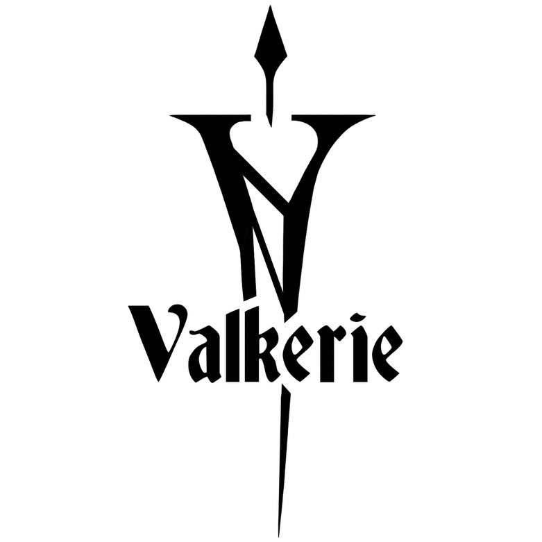 Valkerie / Fight Naked / Velvet Elvis flyer